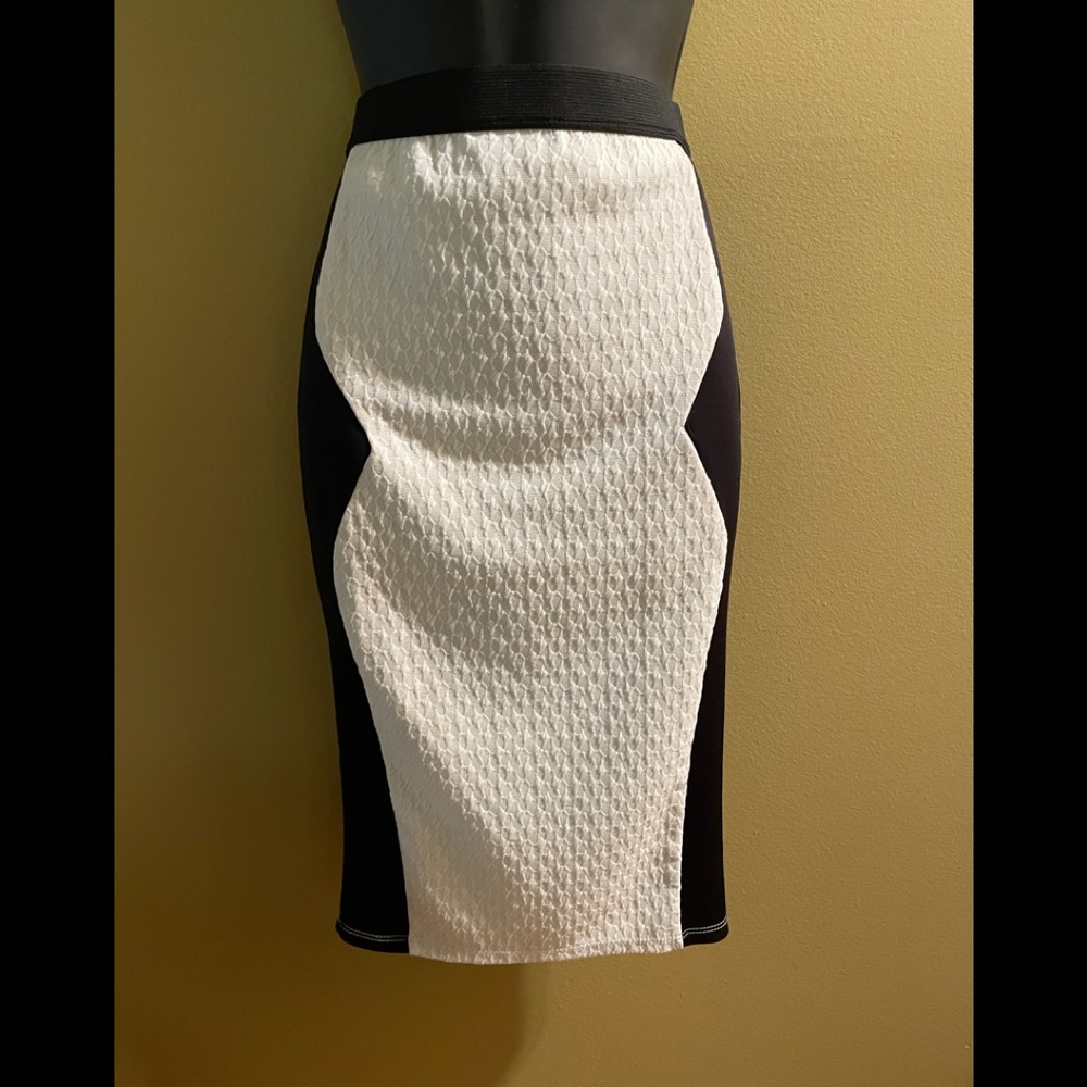 Sensational Collections Pencil Skirt